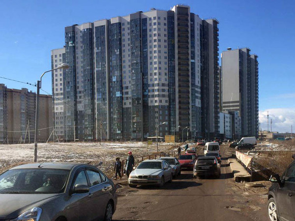 В Усть-Славянку - на телеге