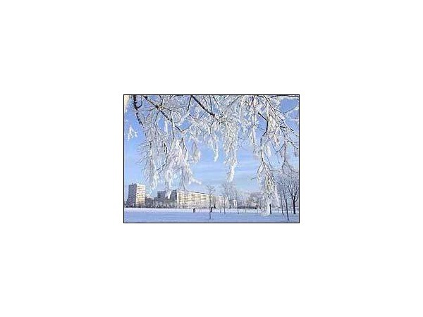 Что мы ждем от нового года?