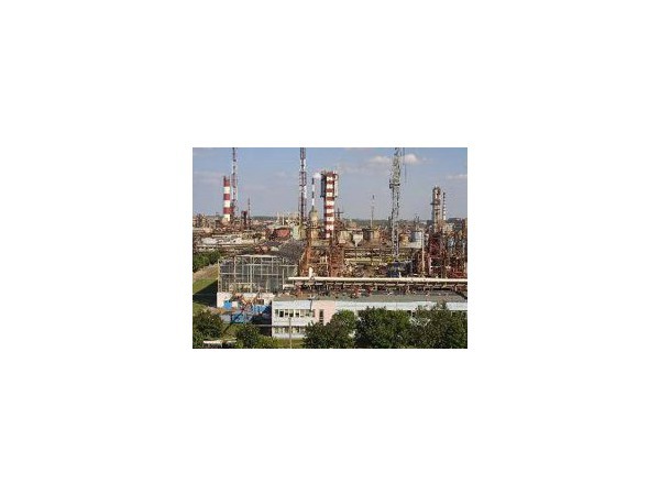 Жизнь налаживается. В отдельно взятом Петербурге