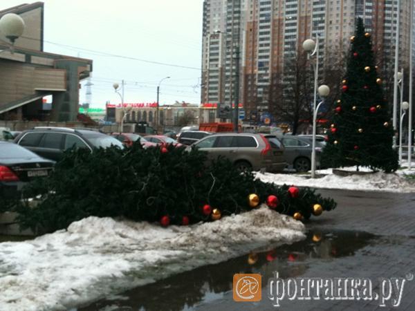 Фото пользователя Twitter dolka2