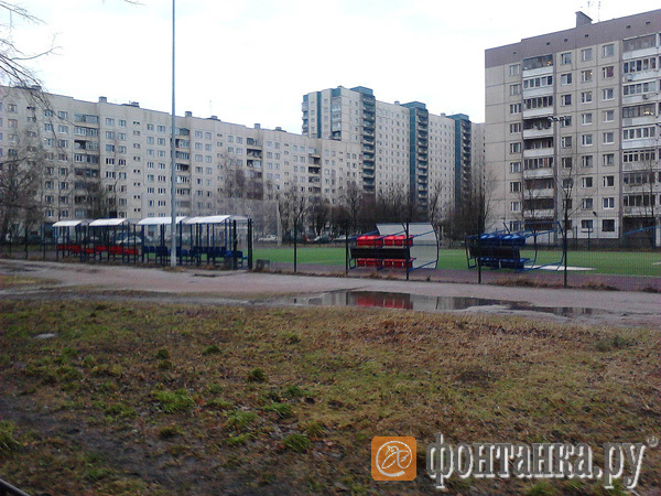 последствия бури в приморском районе один из дворов возле комендантского