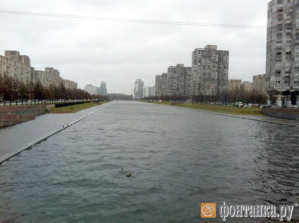 Фото читателя Фонтанки Анны