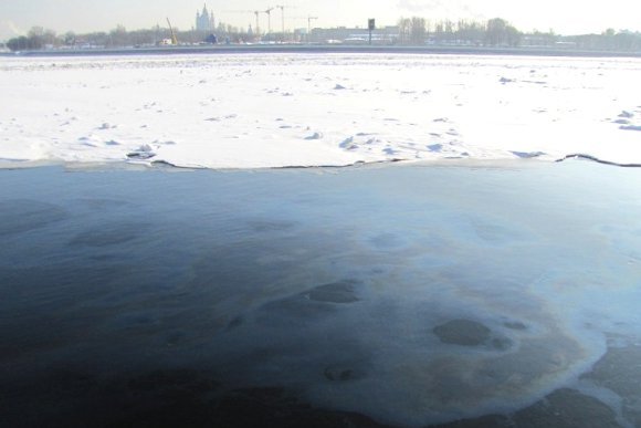Фото предоставлено пресс-службой Гринписа