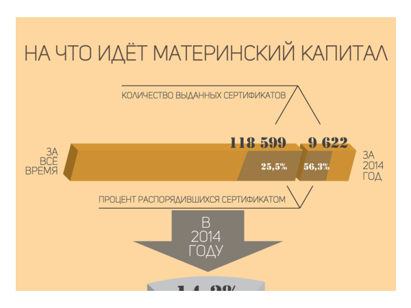 Материнский капитал бросили на ипотеку
