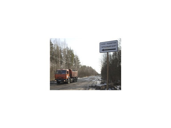 «Красный Бор» заявился на получение лицензии