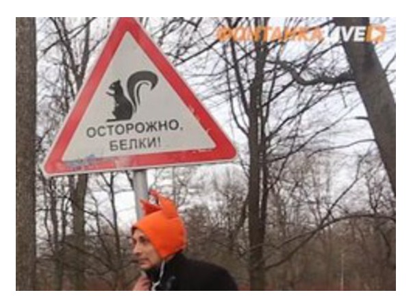 «Фонтанка.Live»: Реконструкция нападения белочки на сына судьи