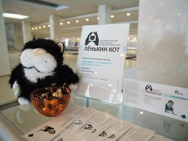 Фонд «Лёнькин кот» просит срочной помощи