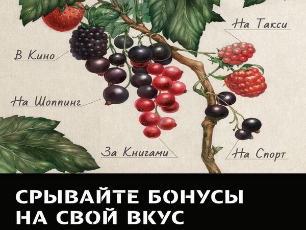 Tele2 запустила всероссийскую акцию «Срывайте бонусы на свой вкус»