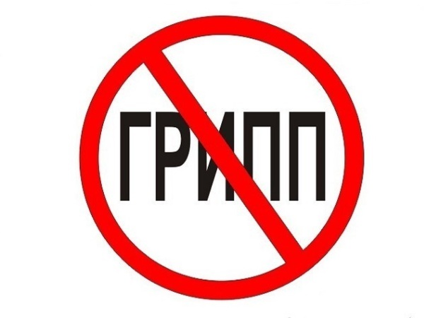 Эпидемиолог Олег Парков - о том, как уберечь себя от гриппа