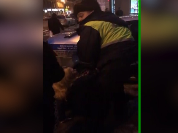 Петербурженка испугалась полицейских, и теперь ей грозит уголовное дело
