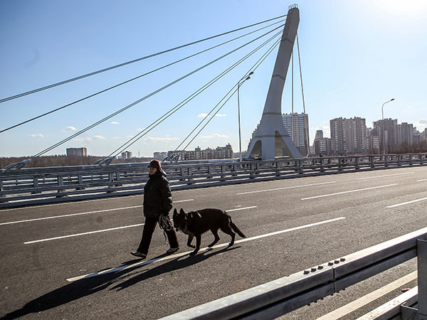 Битва за мост