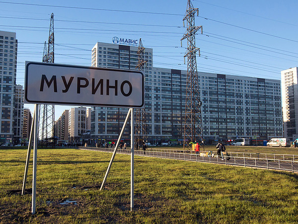 Где будут строить в Ленобласти