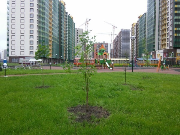 Setl City продолжает благоустраивать территорию ЖК «GreenЛандия-2»