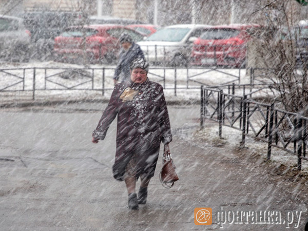 В Петербурге потеплеет к воскресенью