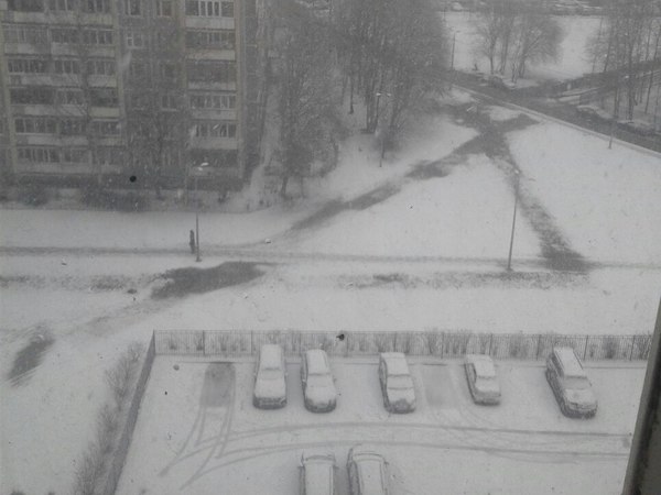 Петербург вместе с Европой заваливает снегом