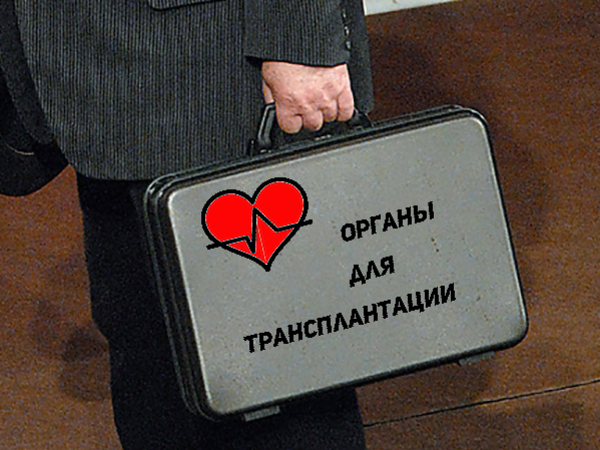Перевозчика внутренностей выдали глаза
