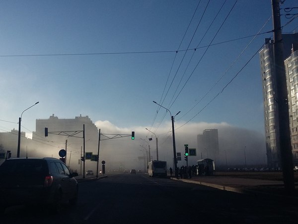 Туман на юге Петербурга посеял панику в соцсетях