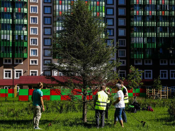 Воспитанники центра «Антон тут рядом» прошли практику в ЖК «GreenЛандия»