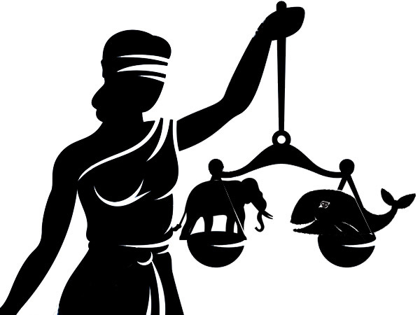 Суд рассудит Сберкита с Юлслоном