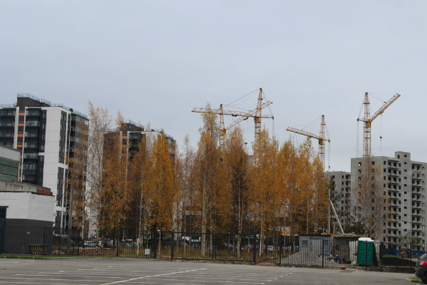 УК «Новоселье»