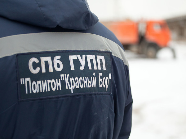 «Красному Бору» нашли 40 миллиардов, но не хозяина