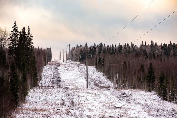 Фото предоставлено пресс-службой МРСК Северо-Запада