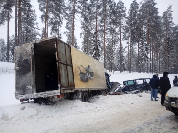 Число погибших в ДТП с микроавтобусом под Тихвином увеличилось до девяти человек