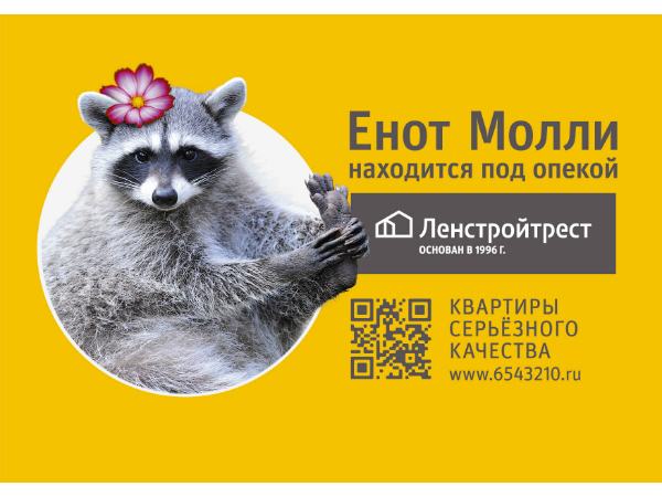 «Ленстройтрест» взял под опеку енота в Ленинградском зоопарке