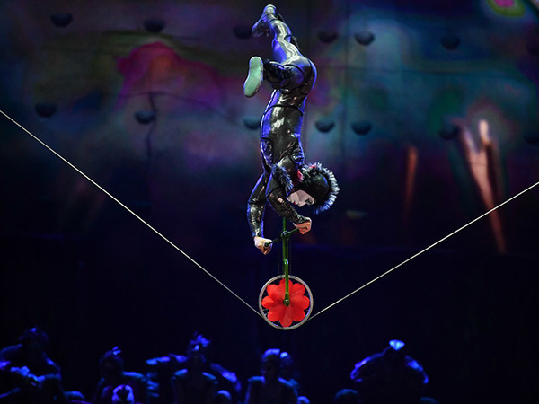 Cirque du Soleil перенесет зрителей в мир муравьев и скарабеев