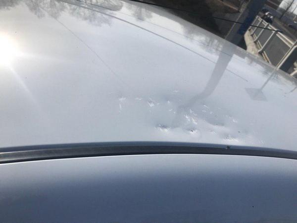Предоставлено пострадавшим водителем