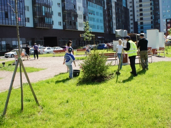 На субботнике в ЖК «Чистое небо» высадили почти 350 деревьев и кустарников