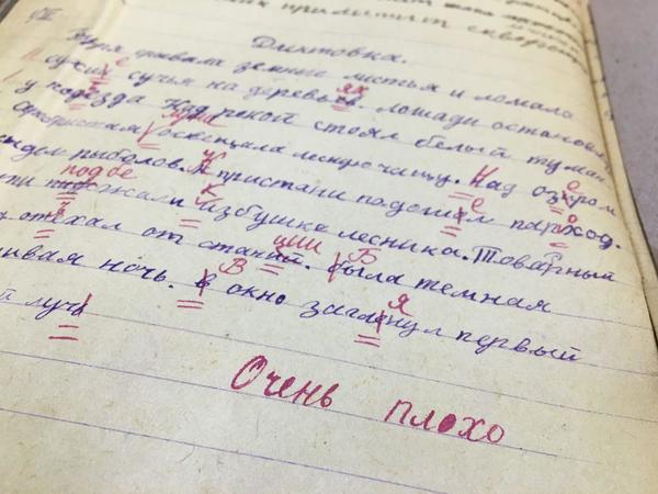 В школах могут отказаться от пятибалльной системы оценок. Что?