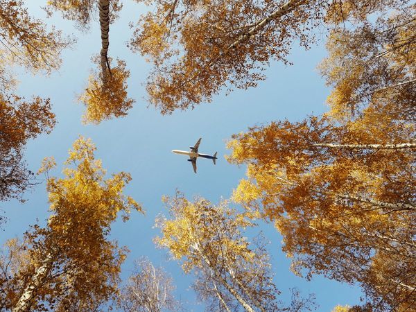 «Выгодная осень» с Уральскими авиалиниями