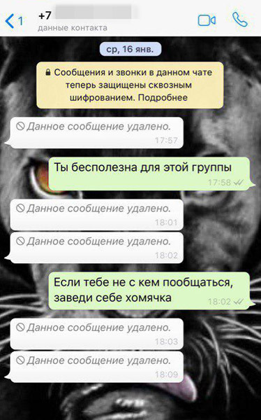 скриншот фрагмента переписки//предоставлено Анастасией Михайловой
