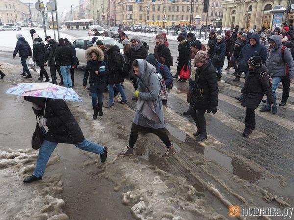 Не можешь - заставим. Горожане через суд научат Смольный убирать заснеженный Петербург