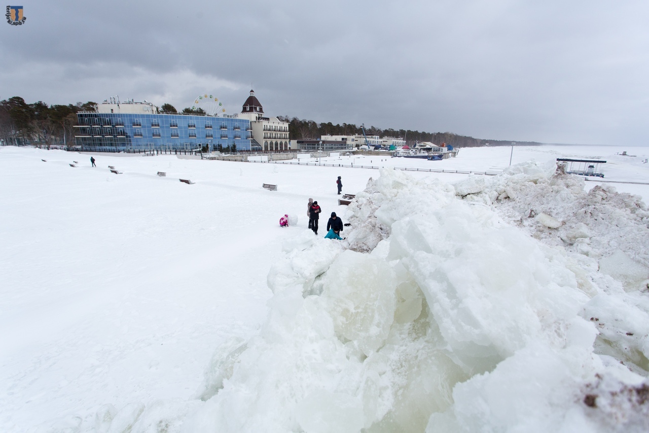 зеленогорск санкт петербург зимой